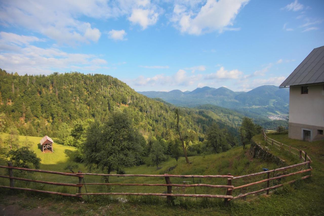 Apartma Gorski Razgled Srednja Vas v Bohinju Exterior photo